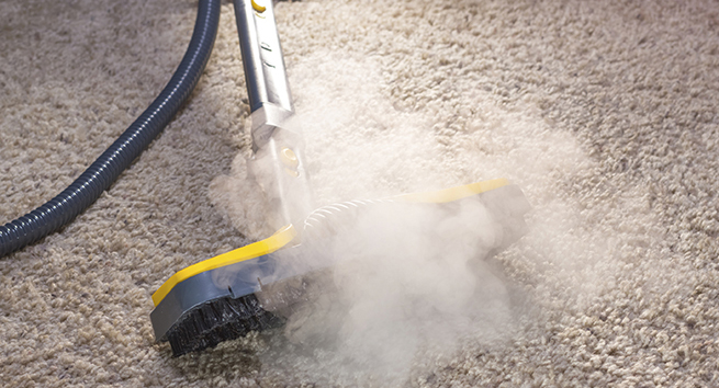 Carpet Stain Removal - Terry's Steam Cleaning